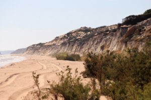 Estudian los procesos de fosilización en Doñana en 3.700 restos esqueléticos de vertebrados