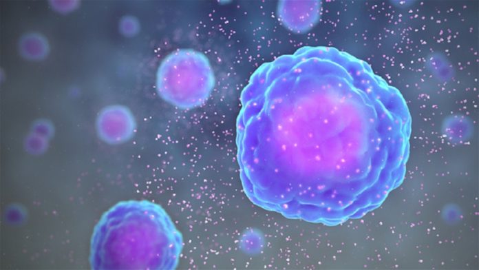 Una plataforma celular estudiará cómo el SARS-CoV-2 afecta a los tejidos
